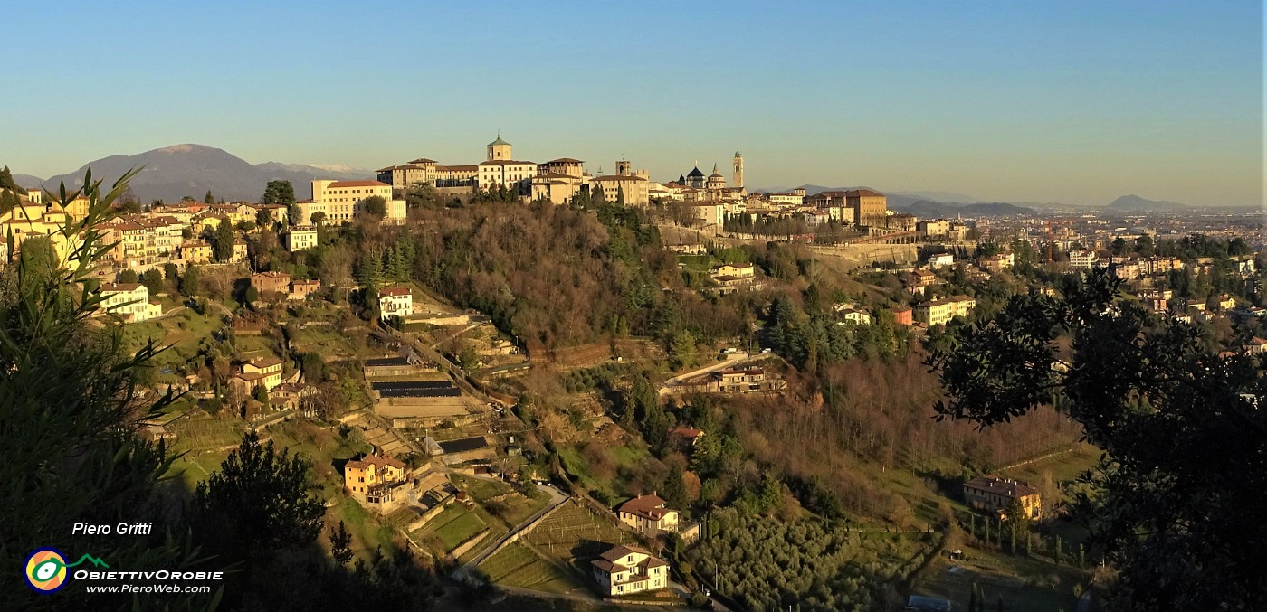 82 Da Via Sudorno, rientrato dal Viale delle Mura, vista panoramica su Citta Alta .jpg